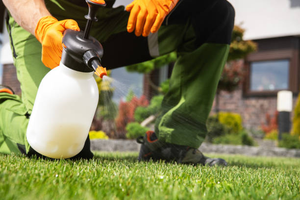 Best Pest Control Cost  in Napavine, WA