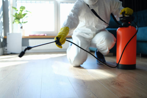 Best Termite Control Services  in Napavine, WA