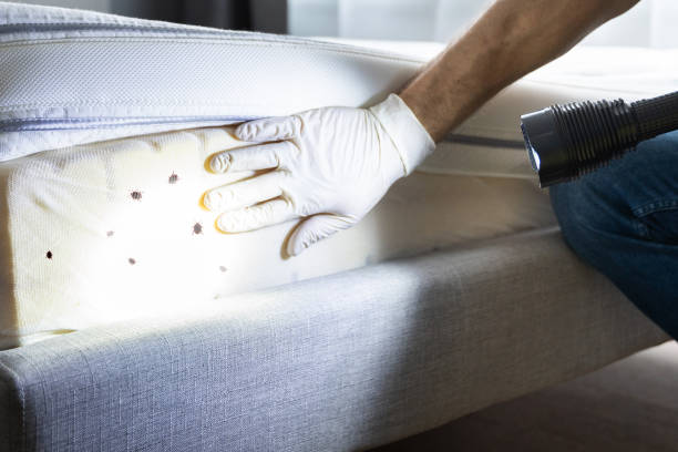 Best Exterminator Services  in Napavine, WA